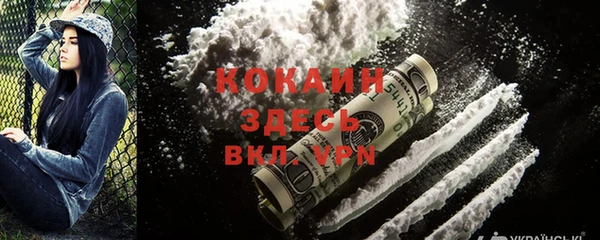 гашик Надым