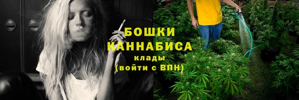 МДПВ Бикин