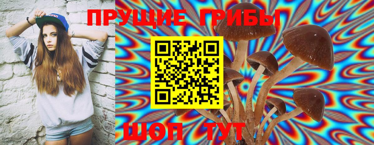 Галлюциногенные грибы мицелий Камень-на-Оби