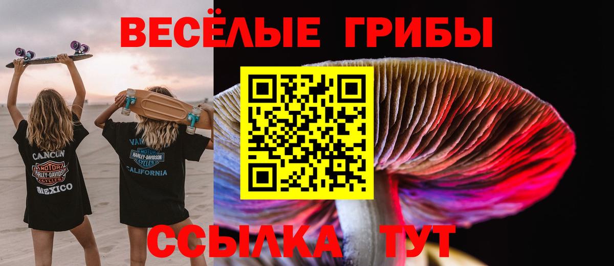 сколько стоит  Псилоцибиновые грибы Magic Shrooms  Псилоцибиновые грибы Psilocybe  Вход с VPN  Камень-на-Оби 